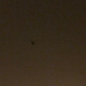 Meet your Posher, Varun